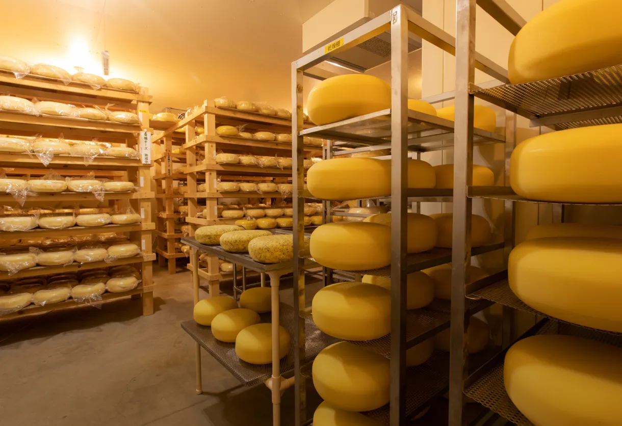 ミルク＆ナチュラルチーズフェアと、ノースプレインファームのチーズの話