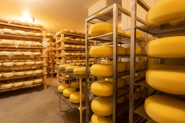 ミルク＆ナチュラルチーズフェアと、ノースプレインファームのチーズの話