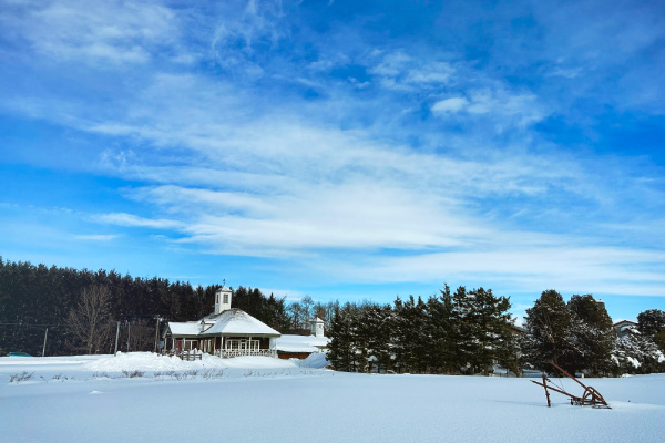 北海道おこっぺ町 「ノースプレインファームの冬便り 農場通信2026」